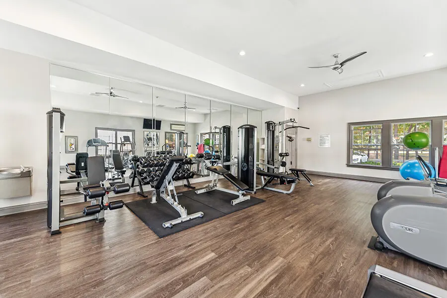 Modern gym with mirrored wall, free weights, weight machines, cardio equipment, exercise balls, wood flooring, and large windows letting in natural light.